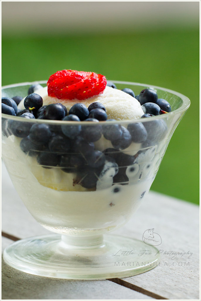 Blueberries and ice cream